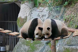 雷竞技这个平台怎么样